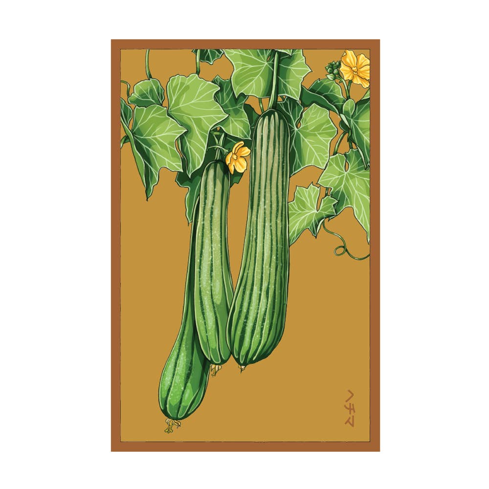 Chive - Wholesale Plant Seeds - 2026 Luffa Sponge Vegetable Seeds Packet