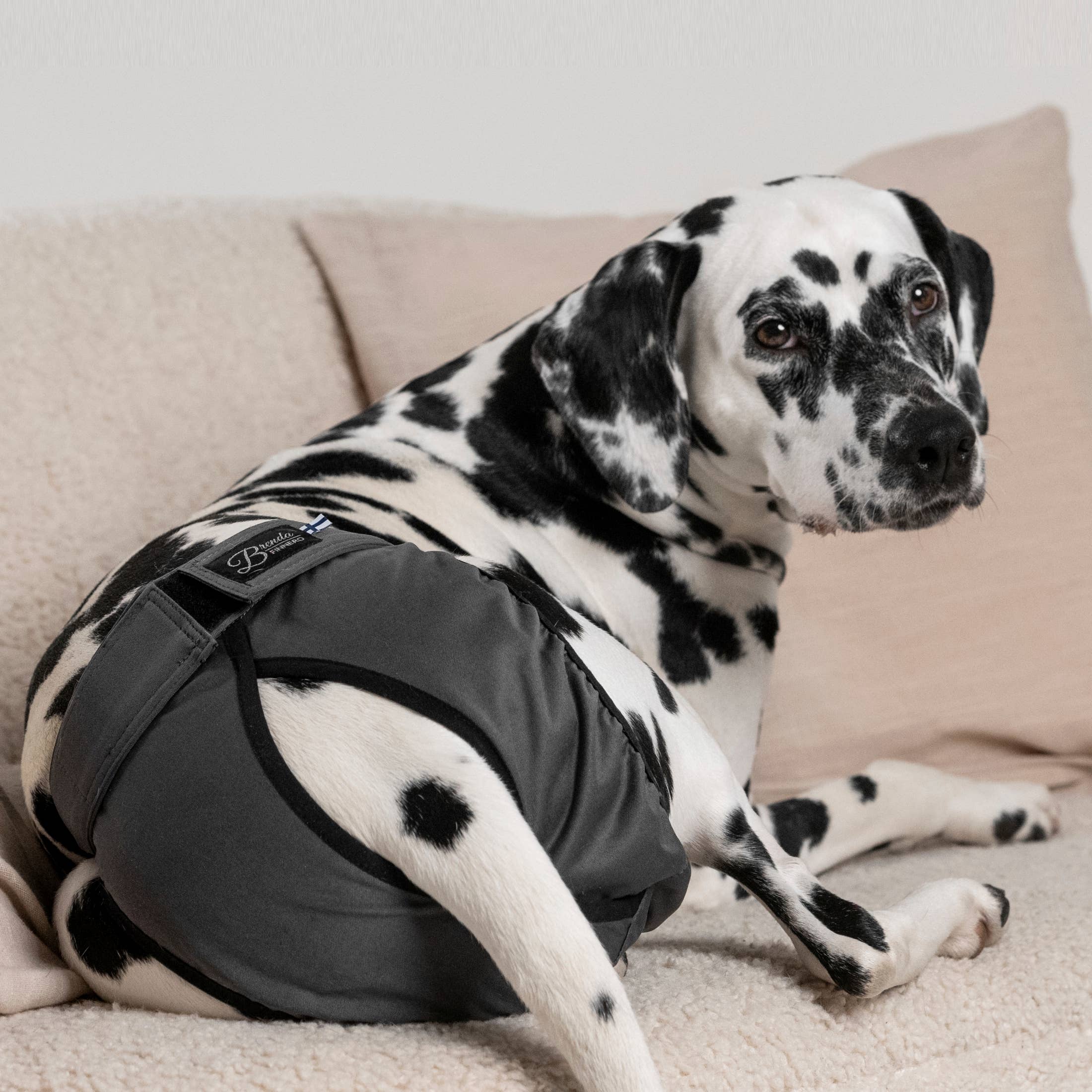 FINNERO - Wholesale Pet Diaper - Dog - FINNERO BRENDA Dog Hygiene pants, 3 colors, Washable Diaper19