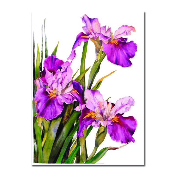 Biglietto di simpatia della Louisiana Iris per la vendita all'ingrosso da parte di Allport Editions