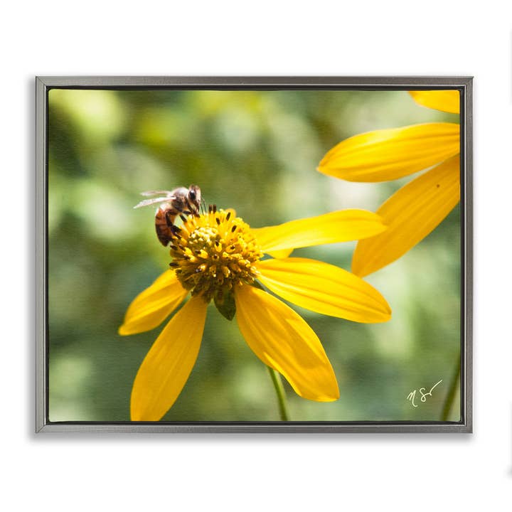 Stupell Industries - Wholesale Wall sign - Bee on Daisy Photography - Framed Wall Art22