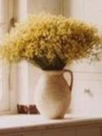 Mattweißer Topf. für den Großhandel von Cerámica Roca Caus