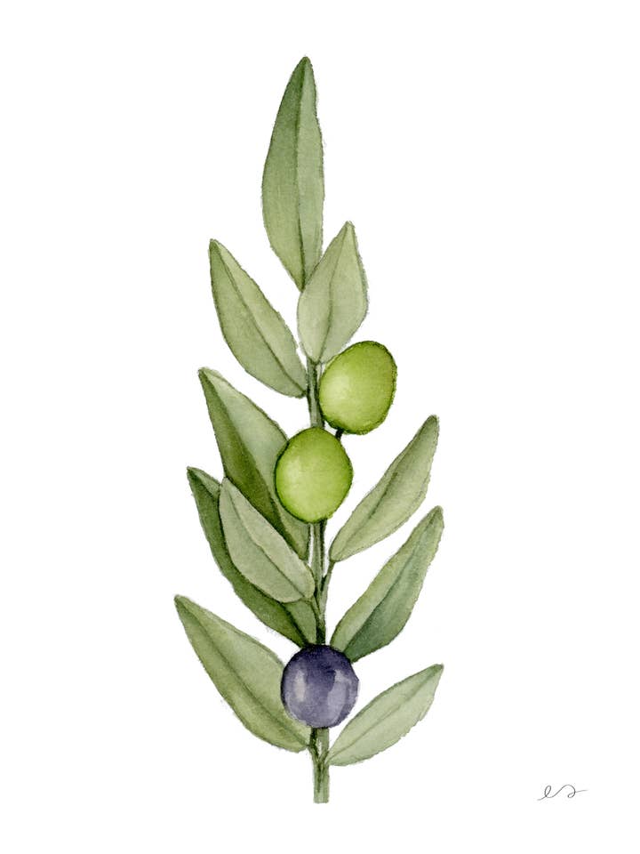 Stampa Ramo d'Olivo – Arte da Parete Acquerello Minimalista per la vendita all'ingrosso da parte di Art by Emma Lian