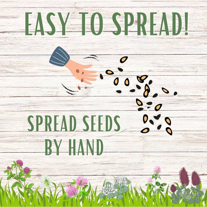 Flawn Seed Kits - Wholesale Plant Seeds - Tri-Colored Clover Seed Mix Compostable Hanging Pouches