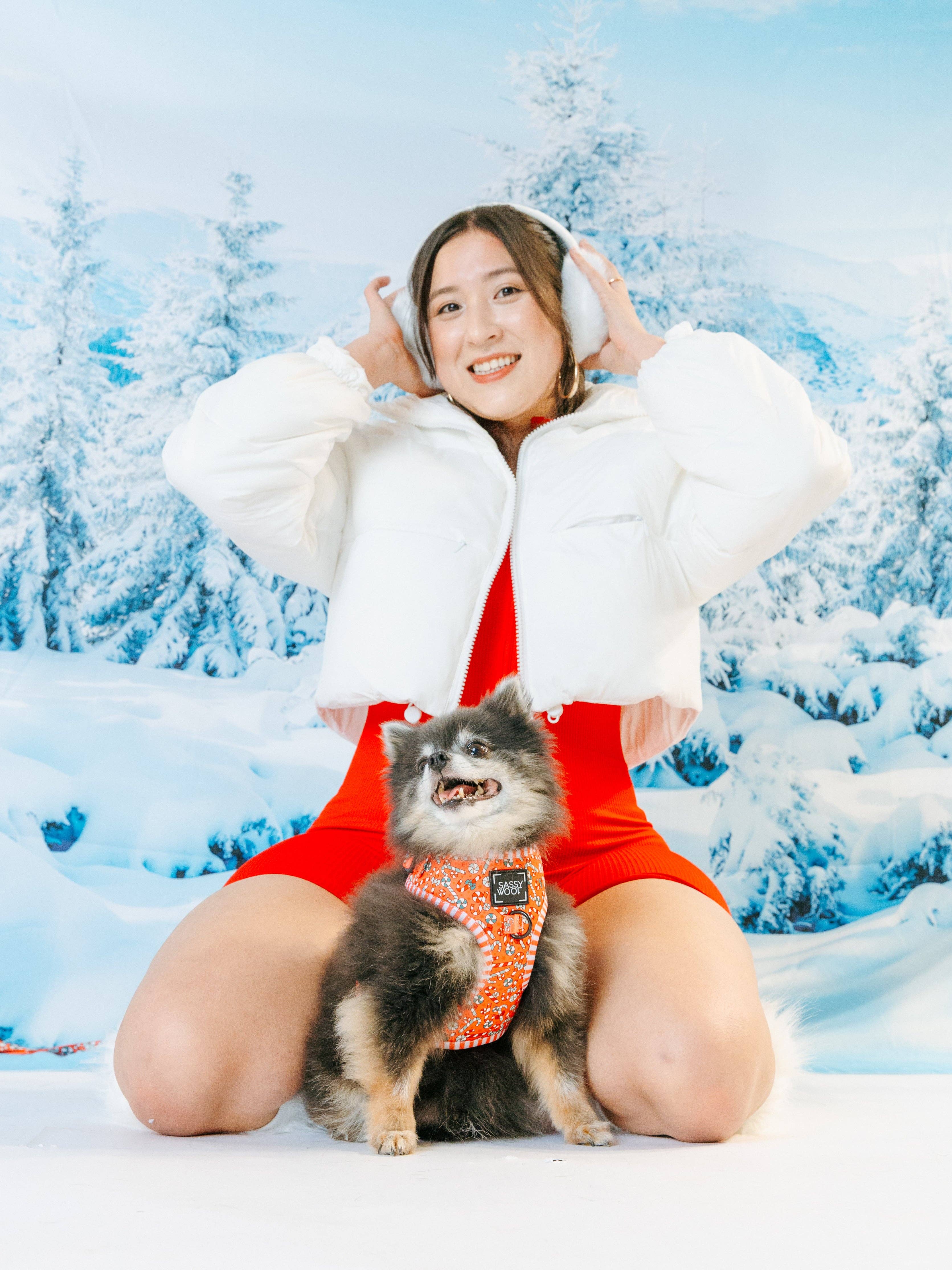 SASSY WOOF - Wholesale Pet Harness - Dog - Dog Adjustable Harness - Puppermint Twist5