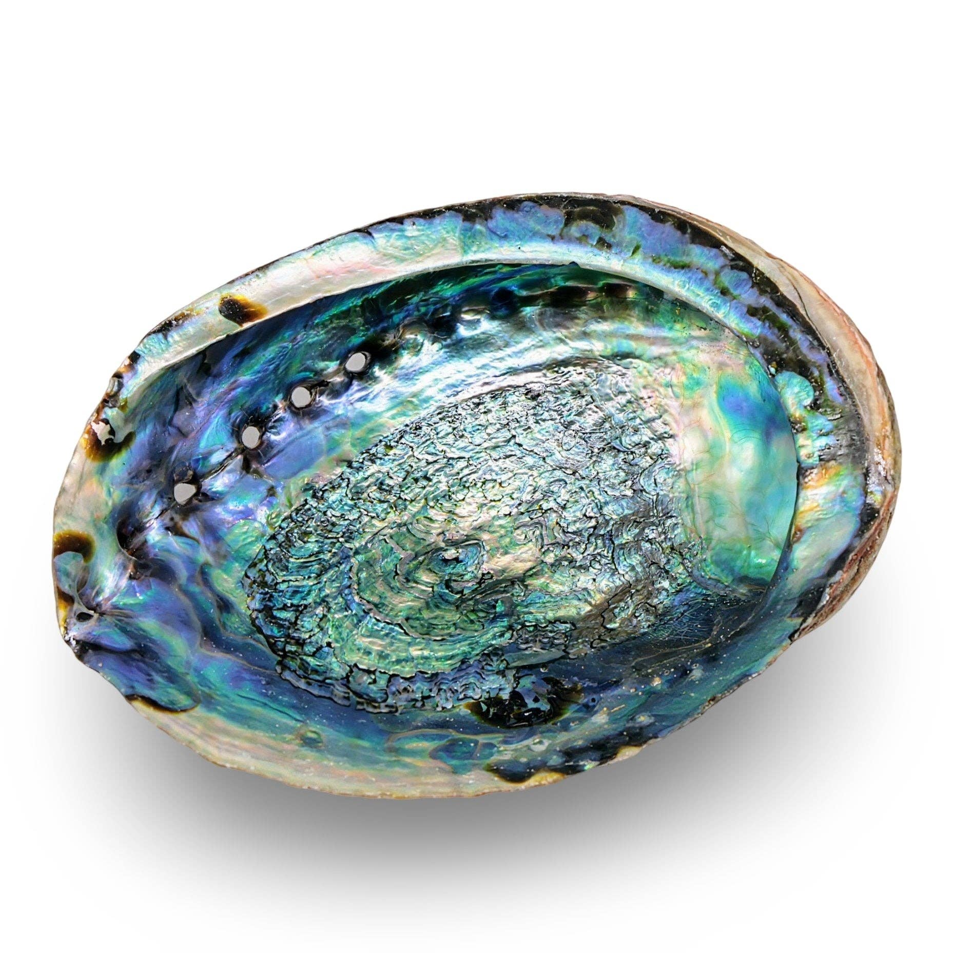 Arômes & Évasions - Wholesale Smudge Plate - Smudging - Abalone Shell4