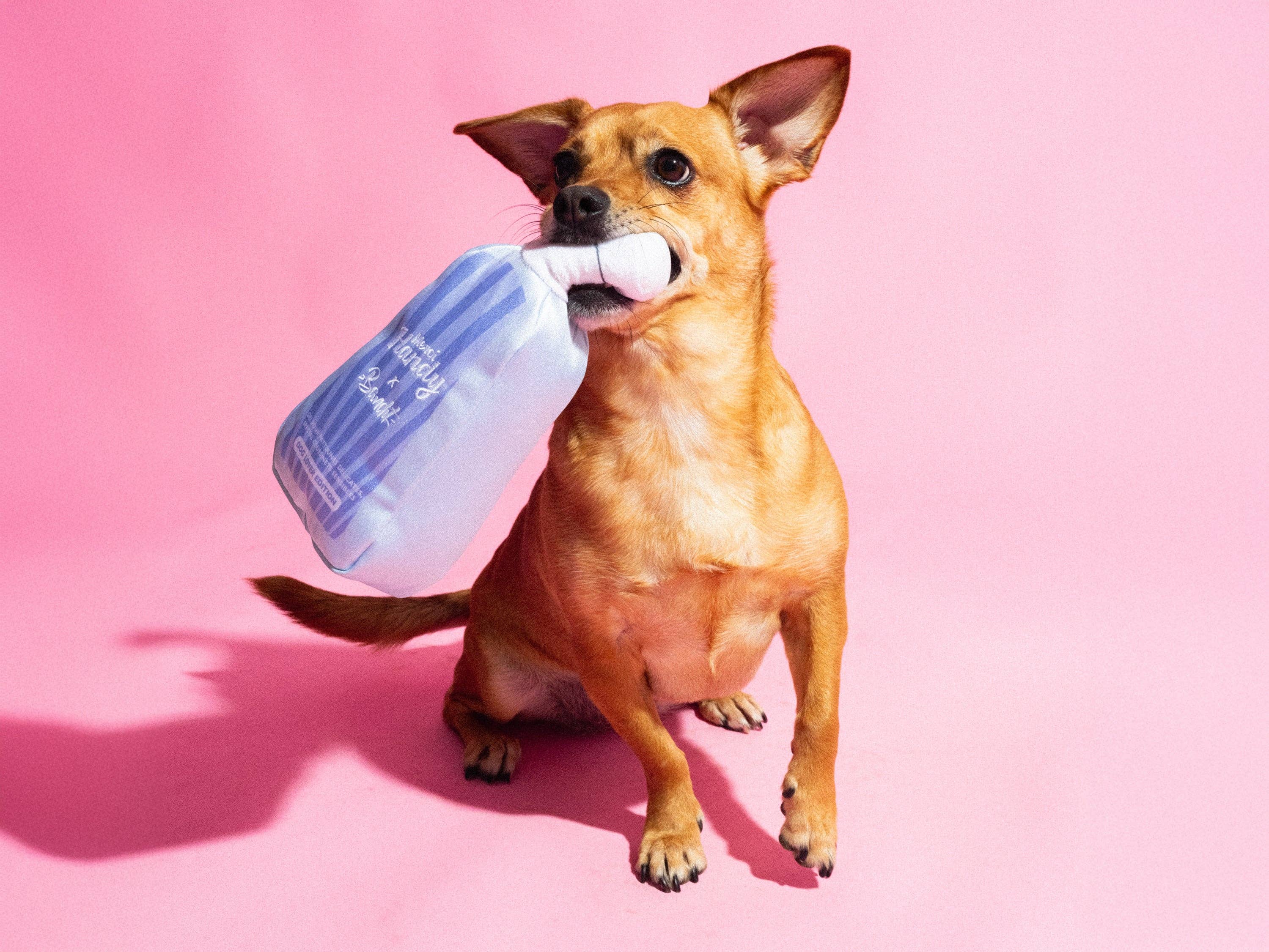 French Bandit - Wholesale Pet Toy - Cat/Dog - Bandit Frozen Toy x Merci Handy3