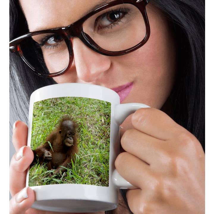 3dRose - Wholesale Coffee Mug - 3dRose, Bornean Orangutan primate, Borneo, Malaysia - AS23 CMI0177 - Cindy Miller Hopkins, Mug9