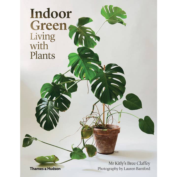 Indoor Green: Living with Plants for wholesale by W. W. Norton