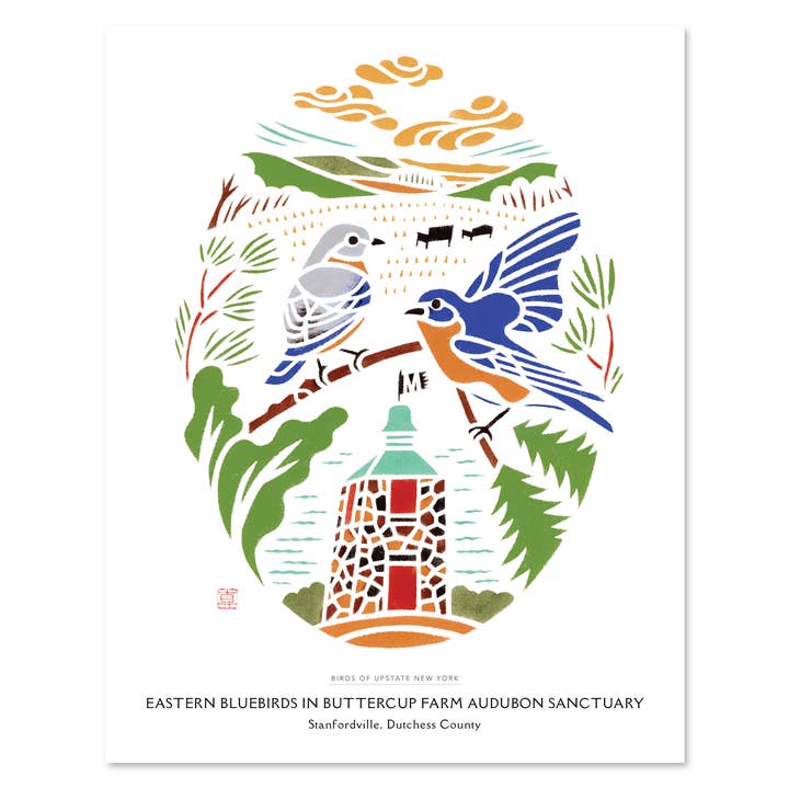 Mayuko Fujino Bird & Nature Art - Wholesale Art Print - Art print: Eastern Bluebirds in Buttercup Farm Audubon