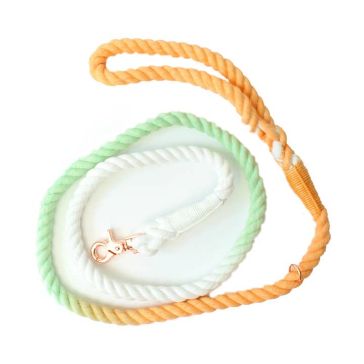 SUNSET OMBRE - ROPE LEASH for wholesale by Doodle Pet Design Company