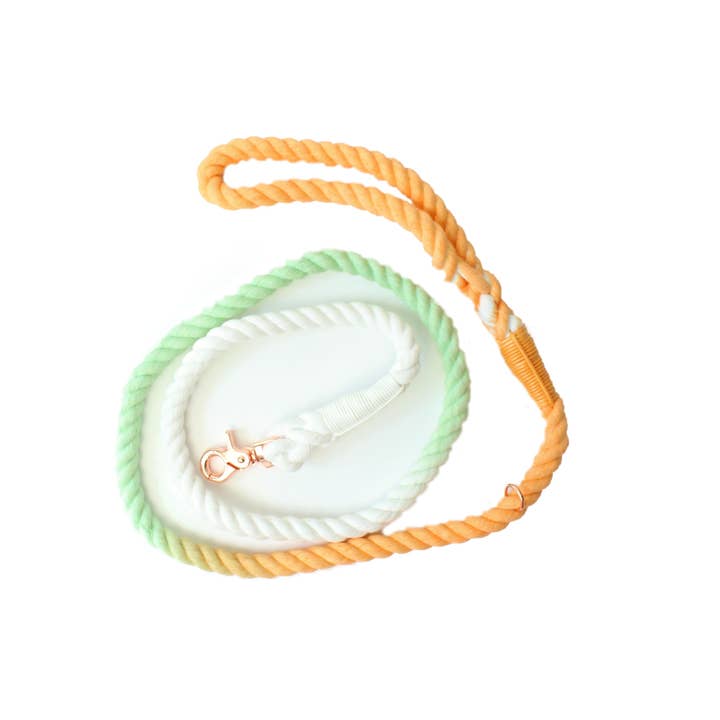 SUNSET OMBRE - ROPE LEASH for wholesale by Doodle Pet Design Company