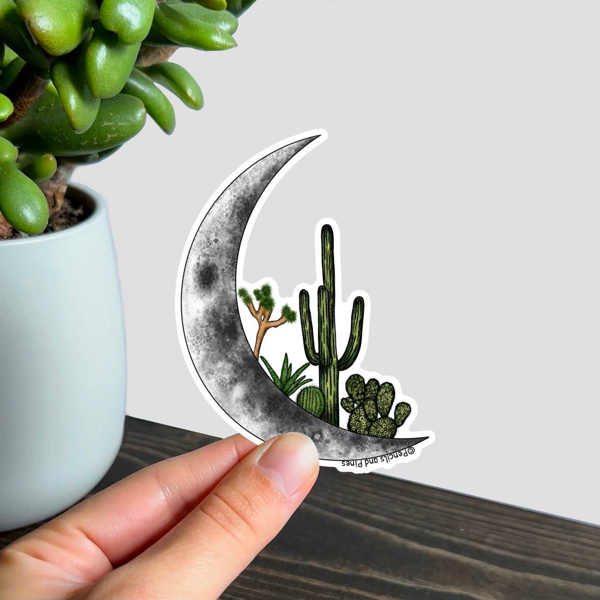 Pencils and Pines - Wholesale Sticker - Cactus Moon Waterproof Sticker2