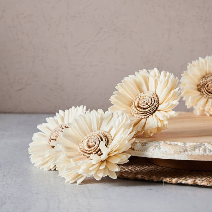 Crown Daisy™ set of 12- 2.5 inches - Sola Wood Flower for wholesale by Oh You're Lovely
