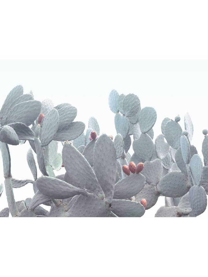 Winter White No. 4 for wholesale by Wilder California