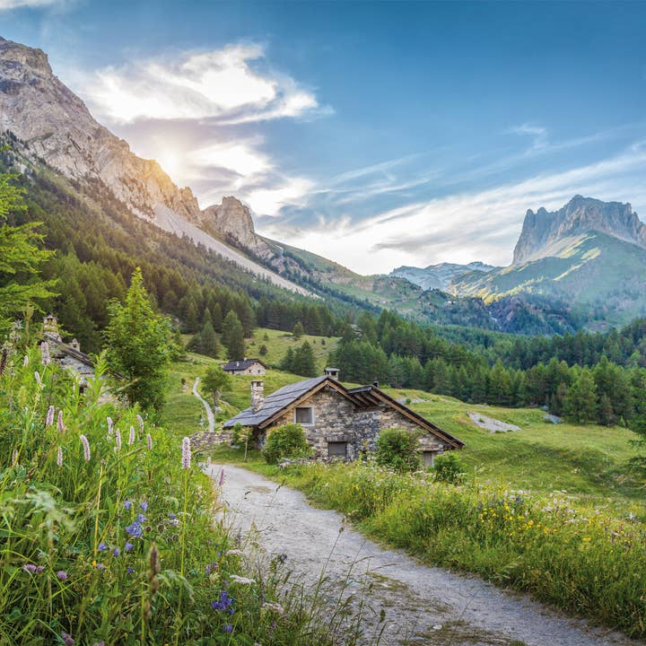 camilla para venta al por mayor de Bönninghoff