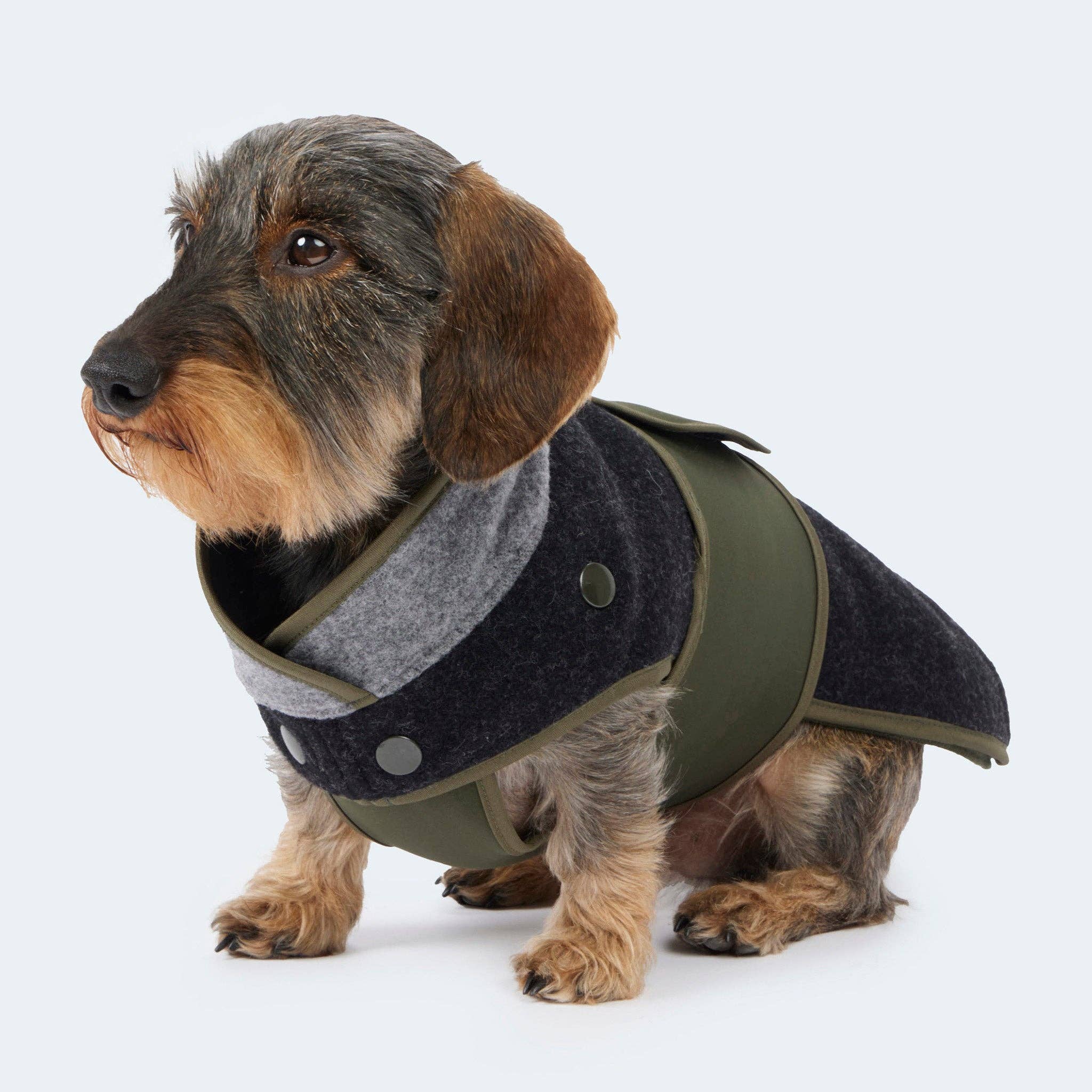 ​​Leopold's Finest for dogs - Wholesale Pet Coat - Dog - Loden coat with removable fleece for dachshunds and small dogs12