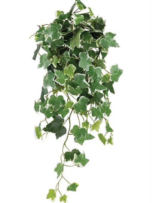 Ivy Hanging Bush X8 26" 123 LVS Variegated for wholesale by Select Artificials, Inc.