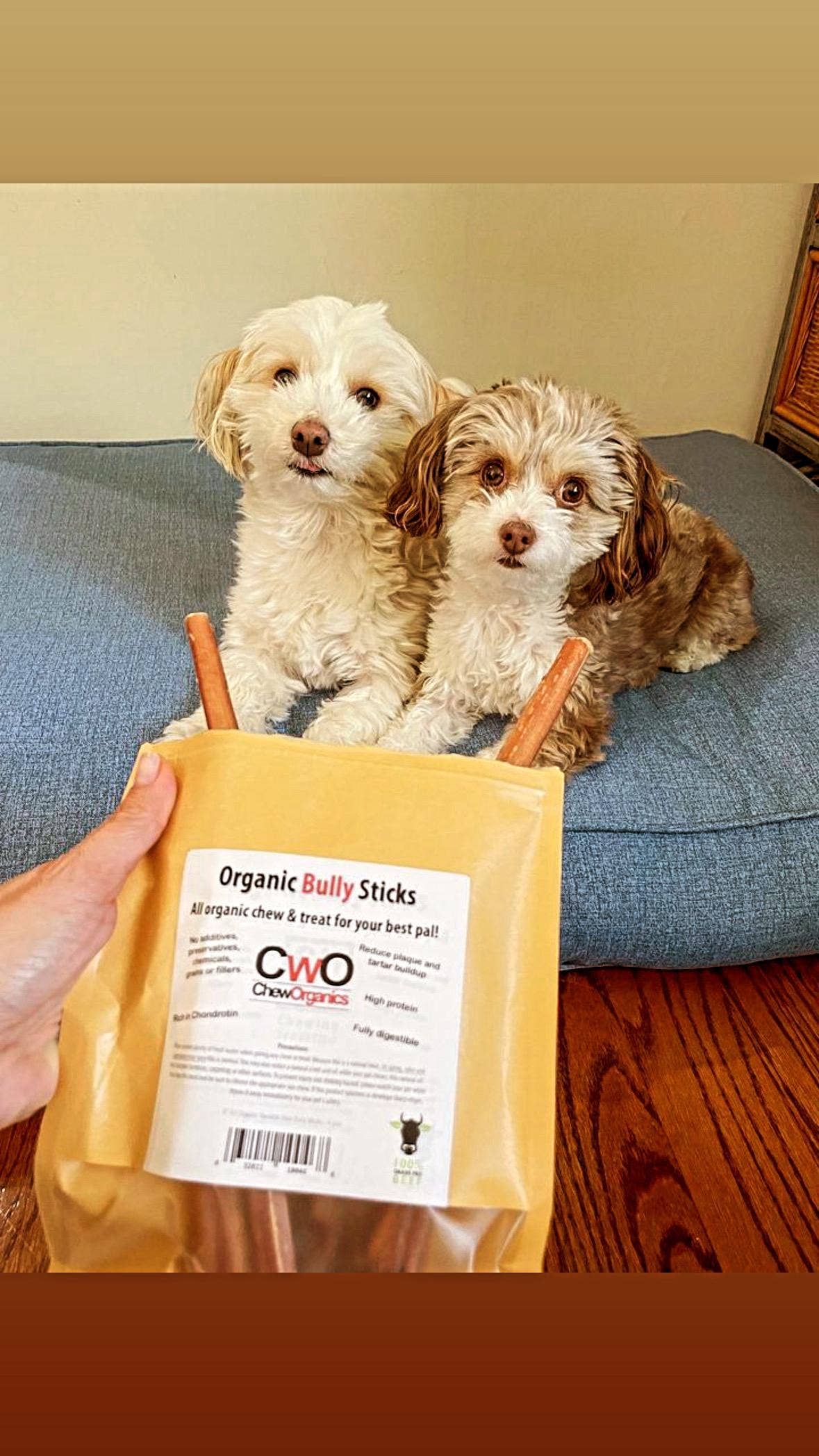 Chew Organics - Wholesale Pet Treats - Dog - 6'' Bully Stick Standard2