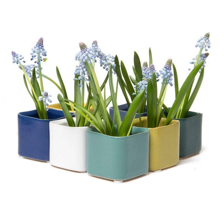 Chive - Wholesale Plant Pot - Svek Succulent Planter For Succulents And Floral Frogs17