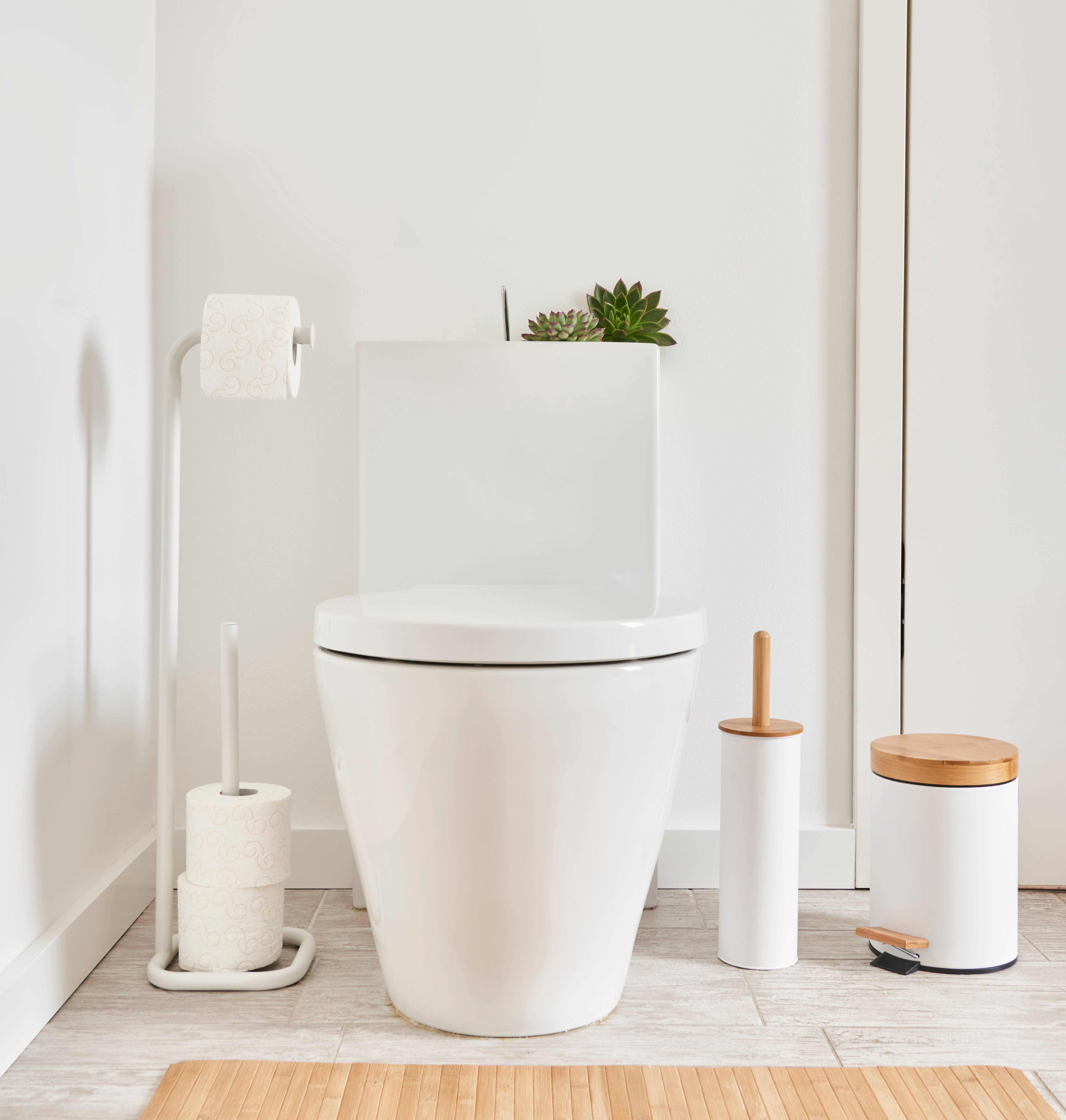 Zeller Present - Vendita all'ingrosso Supporti per carta igienica - Portarotolo WC, metallo1