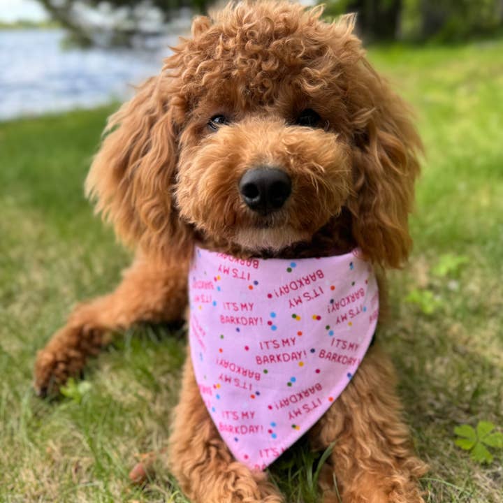 BibbyBubby - Wholesale Pet Bandana - Dog - It's My Barkday! Pink Birthday Dog Bandana