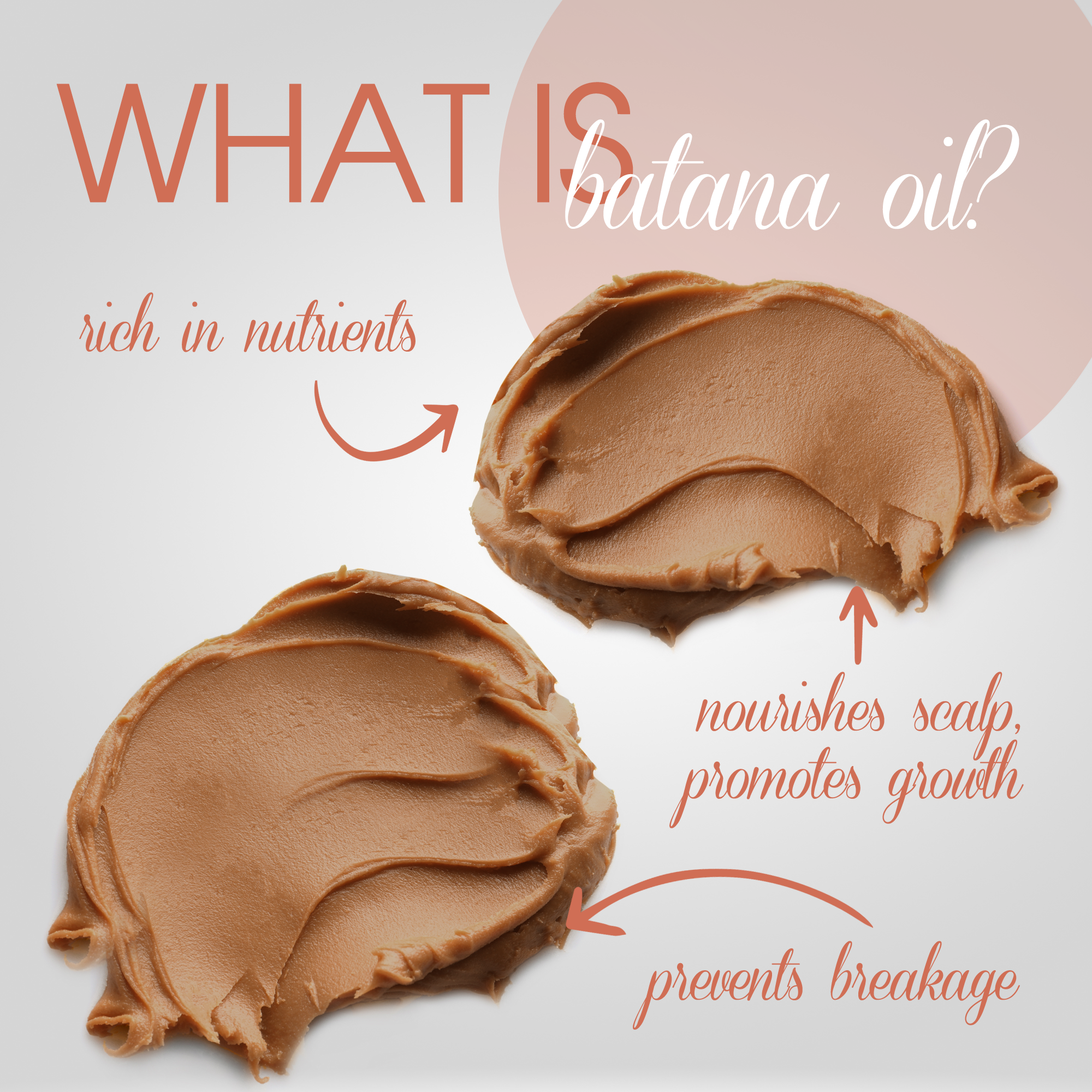 Au Natural Organics - Wholesale Hair Oil -  Batana Oil 6oz Jar3