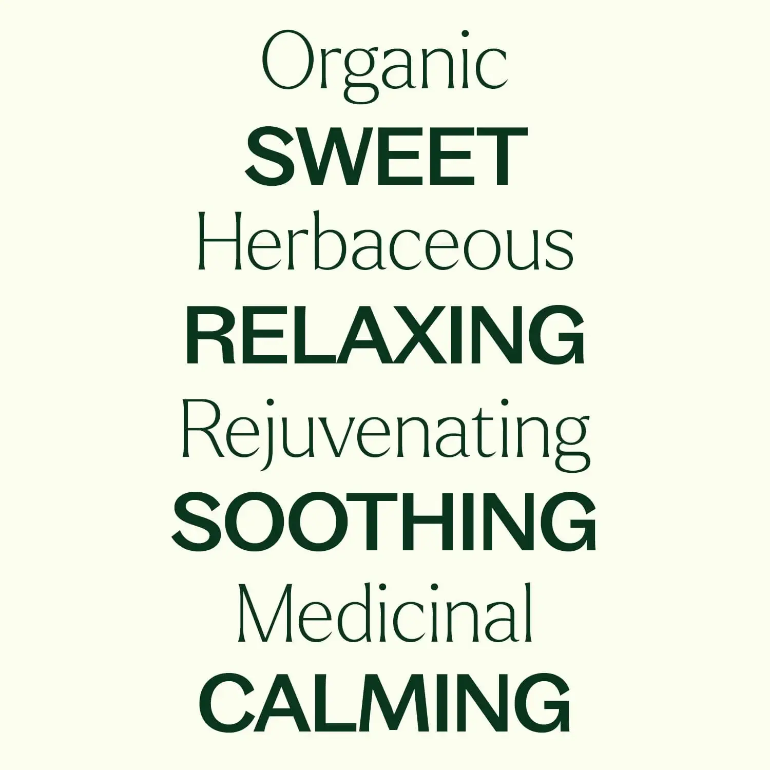 Plant Therapy - Wholesale Essential Oil - Organic German Chamomile Essential Oil 2.5 mL6