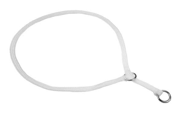 Alvalley – Engroshandel Halsbånd - Hund – Show slip halsbånd5