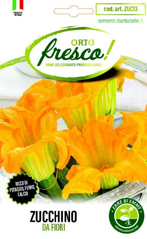 Sementi & Barbatelle - Vente Graines de plantes - Courgette Fleur0