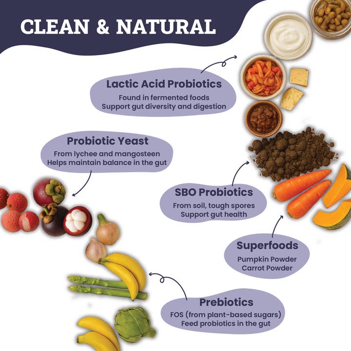 Artisanal Paws - Wholesale Pet Supplement - Dog - Probiotic and Prebiotic Digestive Powder Blend for Dogs2