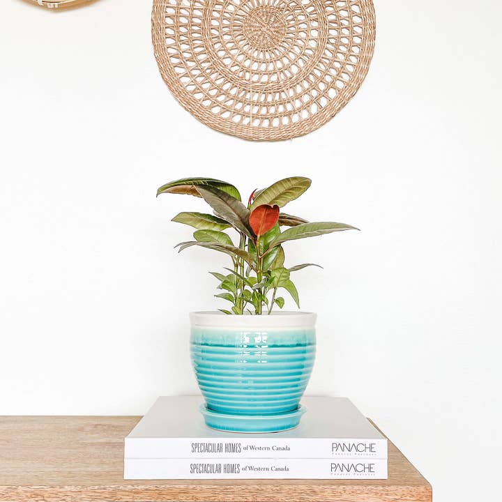 Hycroft Home Decor - Wholesale Plant Pot - Lia Ceramic Planter Pot, Drainage Hole and Attached Saucer