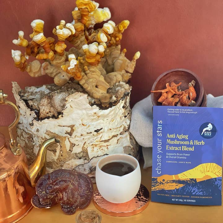 West Wolf Medicinals - Wholesale Oral Supplement/Vitamin - Chase Your Stars Organic Mushroom Antioxidant Supplement10