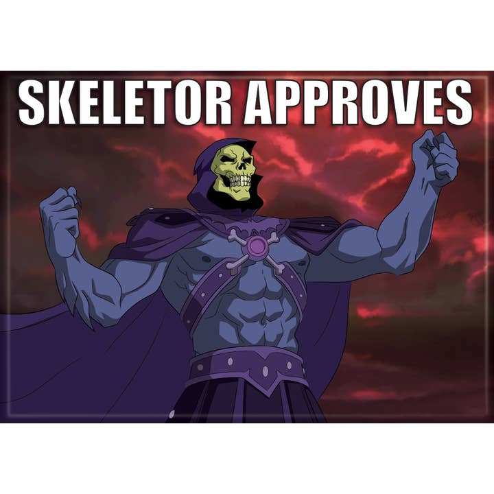 Masters of the Universe Skeletor Approves Magnet for wholesale by Ata-Boy