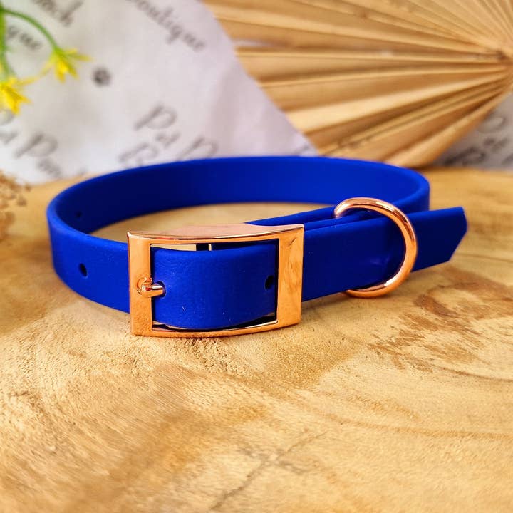 Collier pour chien en Biothane bleu royal - Accessoires en métal - Fait main pour la vente par Pet Pooch Boutique