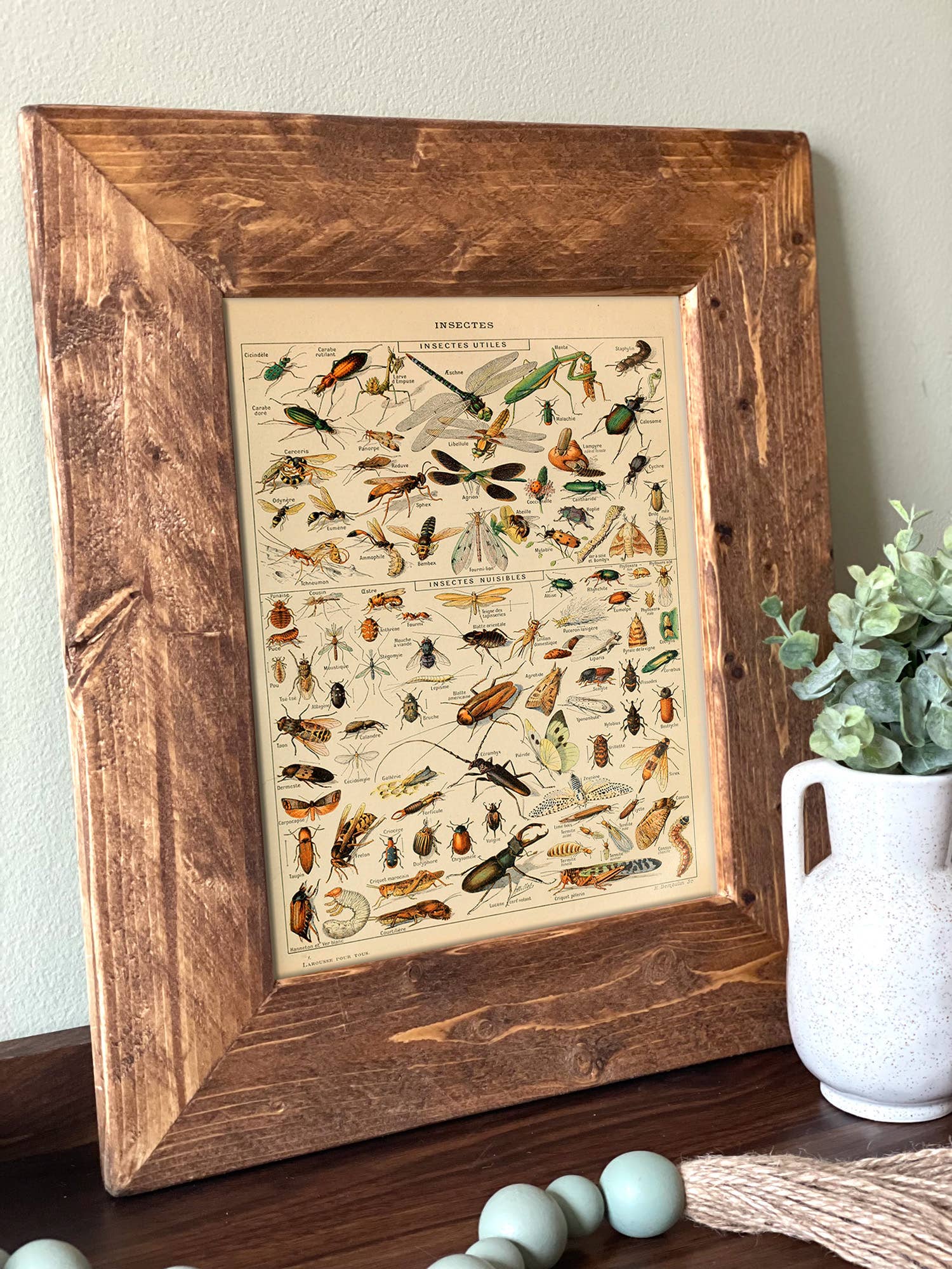 Swinford Designs – wholesale Konsttryck – Guide till vintageinsekter - Inramad illustrerad insektstavla1