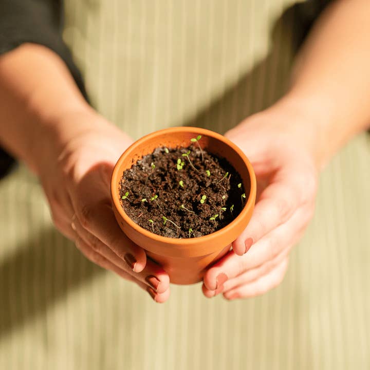 Papier Fleur - Wholesale Notepad - Plantable notebook, Mom's garden2