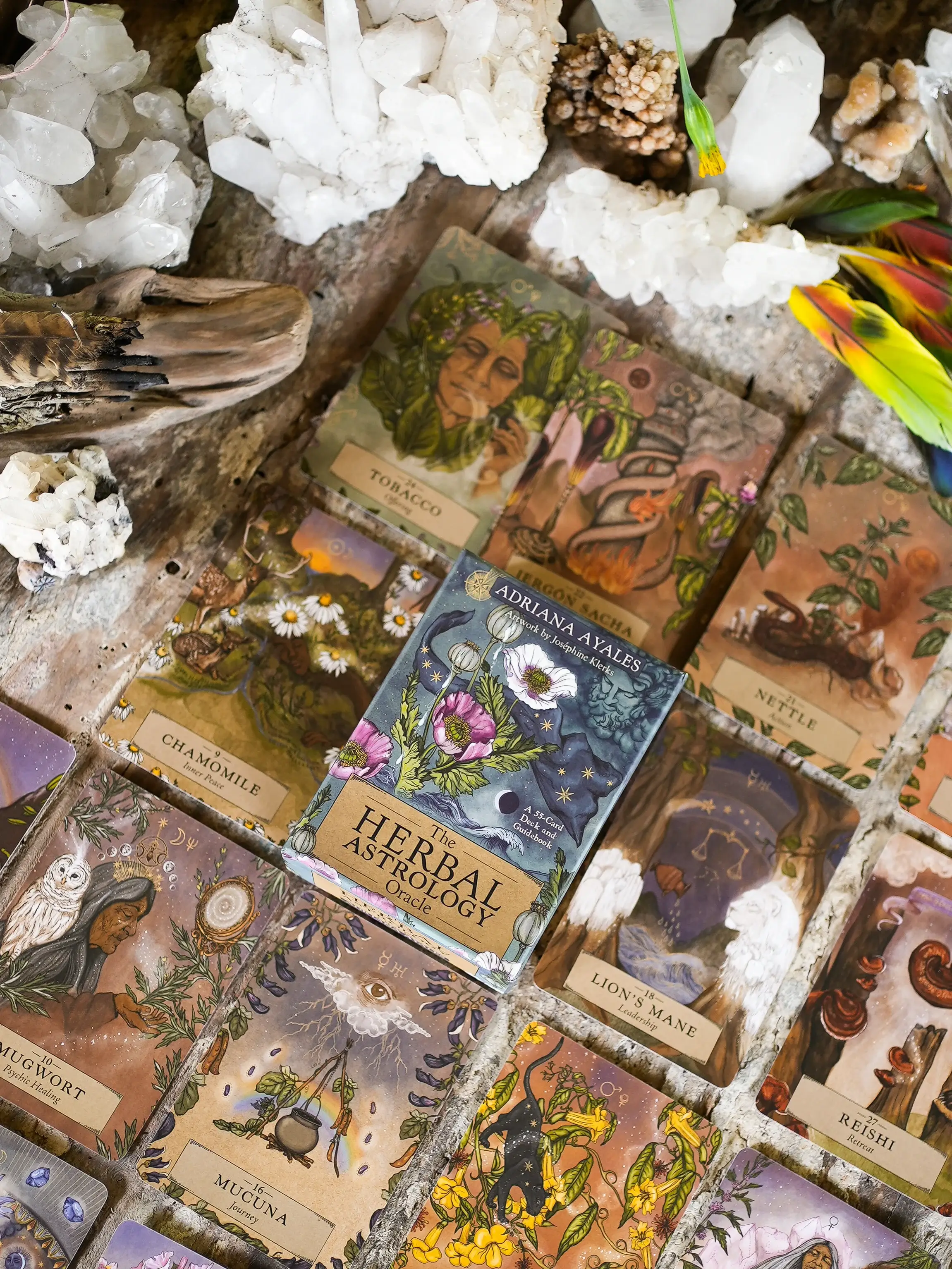 Anima Mundi Apothecary - Wholesale Tarot Cards - HERBAL ASTROLOGY Oracle | 55-Card Deck + Guidebook 2