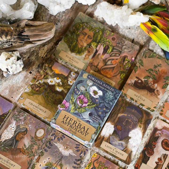 Anima Mundi Apothecary - Wholesale Tarot Cards - HERBAL ASTROLOGY Oracle | 55-Card Deck + Guidebook 2