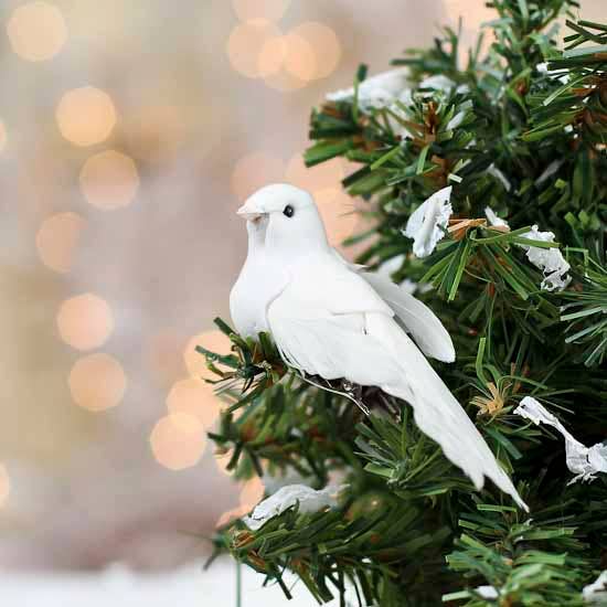 Pack of 12 Mini 2-1/4" Mushroom Dove Birds with Clips and other Purchase Wholesale dove comprare pannolini. Free Returns & Net 60 Terms on Faire trending on Faire.