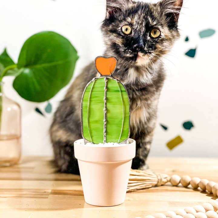 Samara Designs Studio - Wholesale Decorative Tabletop Object - Baby Barrel Glass Cactus