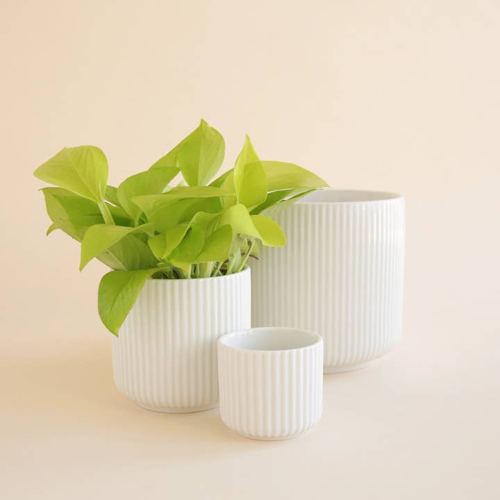 Jungle Club - Wholesale Plant Pot - Lucy Planter | White