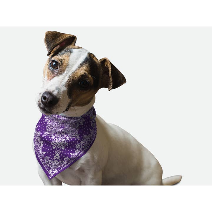 Bandoggies Breeze Bandana pour animaux de compagnie - Grand cachemire violet pour la vente par Bandoggies
