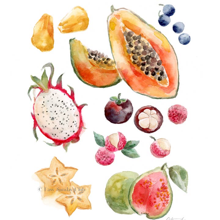 Easy Sunday Club - Wholesale Art Print - Uncommon Tropical Fruits Watercolor Art Print1