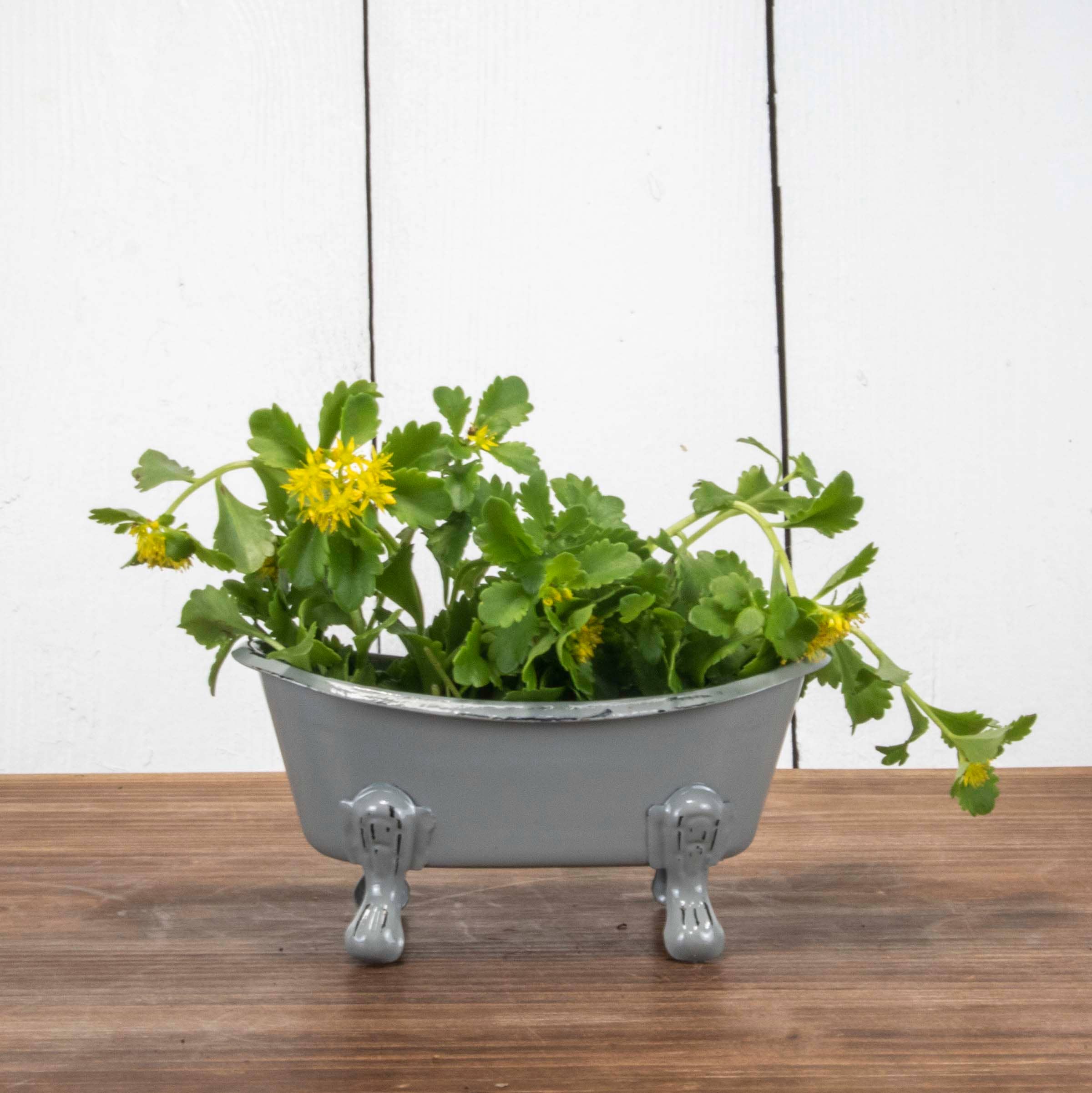 Foreside Home & Garden - Wholesale Bath Soap Dish - Gray Distressed Enamel Bathtub Soap Dish3