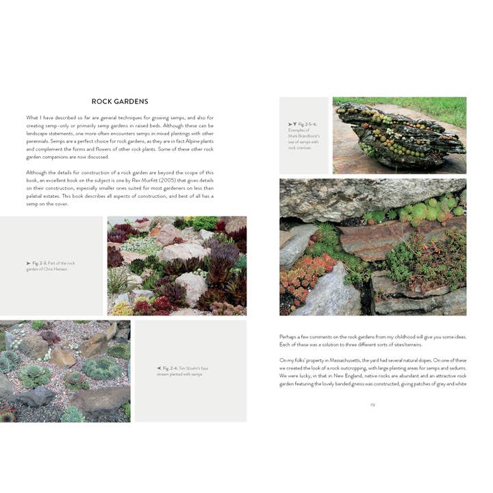 Schiffer Publishing – wholesale Home & Garden – Sempervivum5