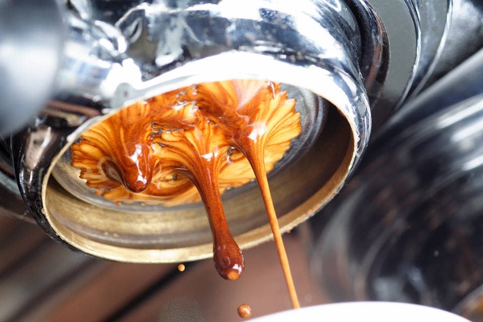 Domingo Caffè - Wholesale Coffee Beans - Sofia Espresso Italiano (Box containing 6 Kg)4