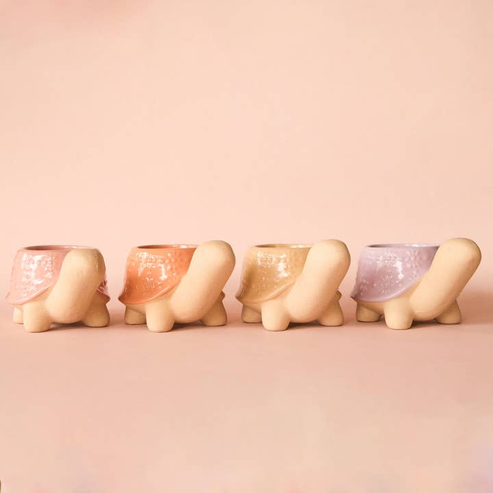 Jungle Club - Wholesale Plant Pot - Turtle Planter | Sand2