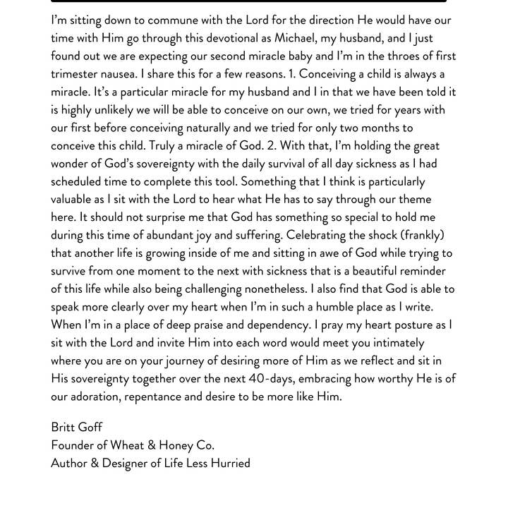 Wheat and Honey Co. - Wholesale Religion Book - Life Less Hurried: 40 days of stillness5