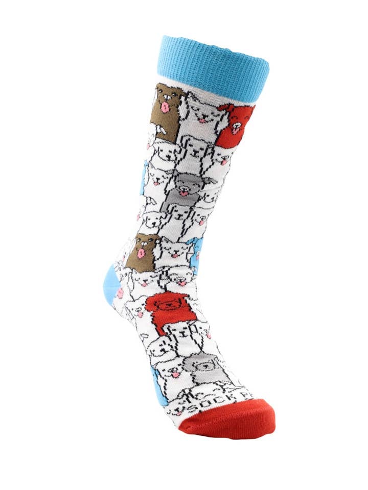 Sock Panda - Wholesale Socks - Kids - Colorful Surprise Dog Pattern Socks2