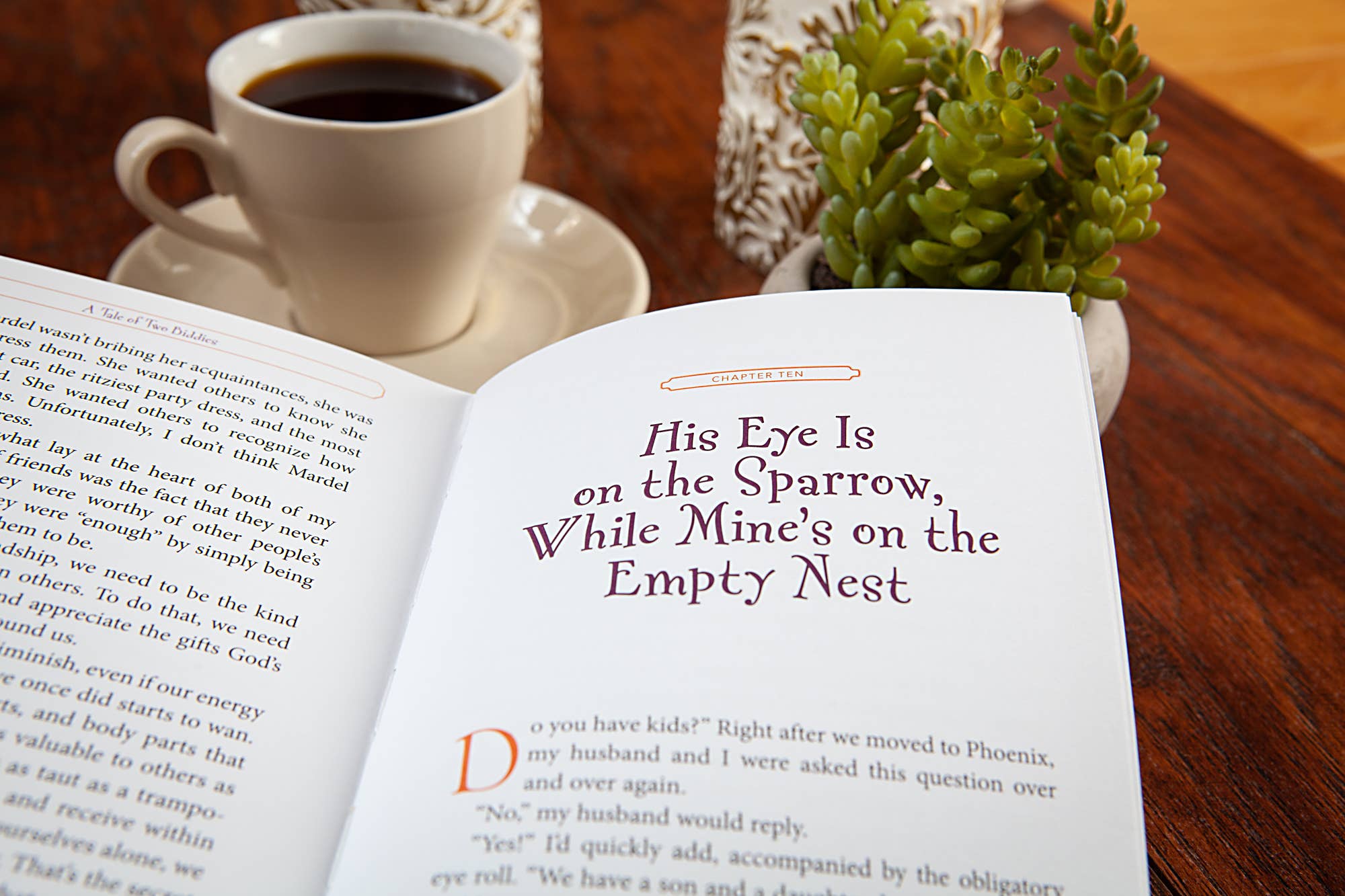 BroadStreet Publishing Group, LLC - Wholesale Humor - A Tale of Two Biddies (Humor Book on Aging)2